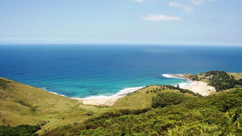 Royal National Park - Maitland Accommodation 0