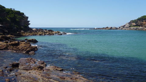 Royal National Park - Maitland Accommodation 2