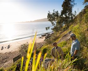 Pittwater Kayak Tours - Maitland Accommodation 8