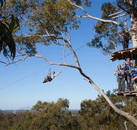 TreeTop Safari - Maitland Accommodation