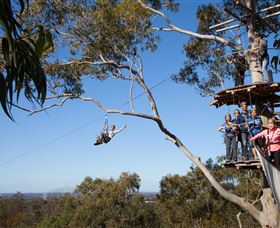 TreeTop Safari - Maitland Accommodation 0