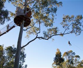 TreeTop Safari - Maitland Accommodation 3