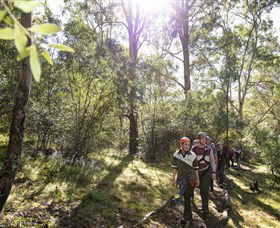TreeTop Safari - Maitland Accommodation 4
