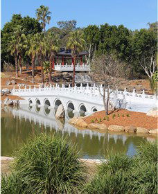 Nurragingy Reserve - Maitland Accommodation 2