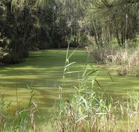 Second Ponds Creek walk - Maitland Accommodation