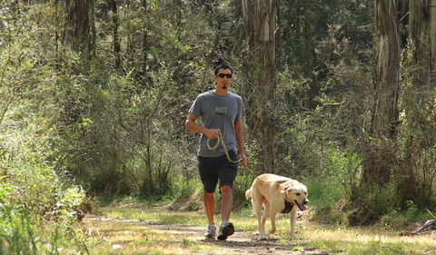 Second Ponds Creek Walk - Maitland Accommodation 3