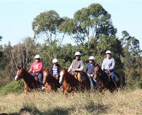 Sydney Trail Riding Centre - Maitland Accommodation 0