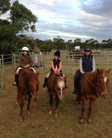 Sydney Trail Riding Centre - Maitland Accommodation 2