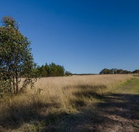 Scheyville horse riding trails - Maitland Accommodation