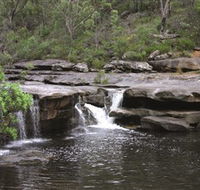 Georges River Nature Reserve - Maitland Accommodation