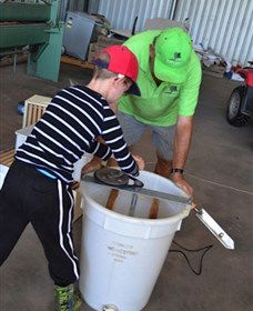 Canoelands Orchard - Maitland Accommodation 2