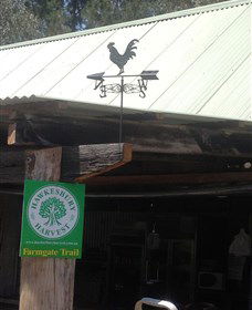 Canoelands Orchard - Maitland Accommodation 3