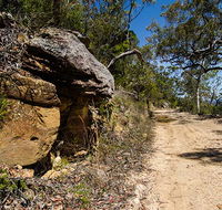 Canoelands Ridge walking track - Maitland Accommodation