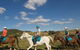 Sugarloaf Horse Centre - thumb 1