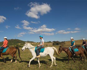 Sugarloaf Horse Centre - Maitland Accommodation 1