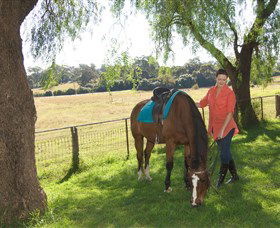 Sugarloaf Horse Centre - Maitland Accommodation 0