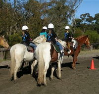 Darkes Forest Riding Ranch - Maitland Accommodation