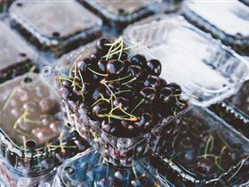 Adelaide Farmers' Market Showground - Maitland Accommodation 1