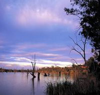 Loch Luna Game Reserve and Moorook Game Reserve - Maitland Accommodation