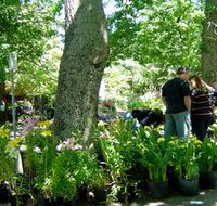 The Stirling Market - Maitland Accommodation