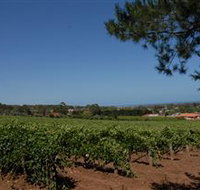 Grancari - Maitland Accommodation