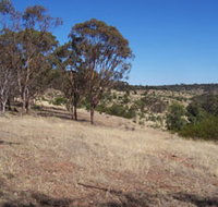 Onkaparinga River National Park - Maitland Accommodation