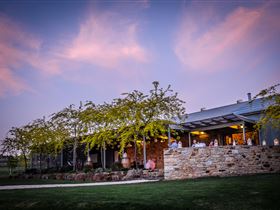 Howard Vineyard - Maitland Accommodation 0