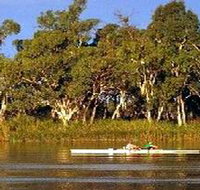 Martin Bend Reserve - Maitland Accommodation