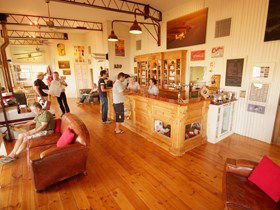 Adelaide Biplanes - Maitland Accommodation 1