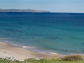 Carrickalinga Beach - Maitland Accommodation 1