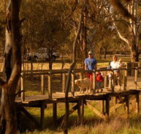 Loxton's Drives Walks and Trails - Maitland Accommodation