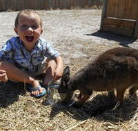Animal Farm Goolwa - Maitland Accommodation