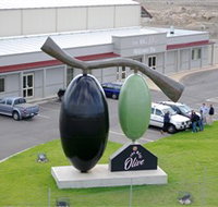 The Big Olive - Maitland Accommodation