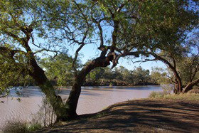 Charleville - Bakers Bend Warrego River Fishing Spot - Maitland Accommodation 1