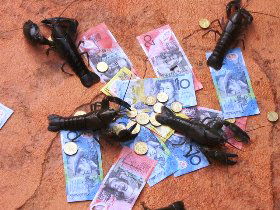 BAILEY BAR CARAVAN PARK - Maitland Accommodation 2