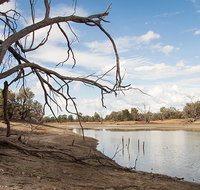 Toorale National Park - Maitland Accommodation
