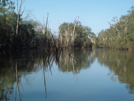 Charleville - 18 Mile Warrego River Fishing - Maitland Accommodation 1