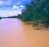 Warrego River - Maitland Accommodation