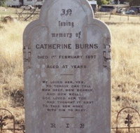 St Patrick's Catholic Churchyard Graves - Maitland Accommodation