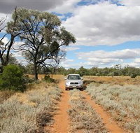 Augathella 4x4 Stock Route Trail - Maitland Accommodation