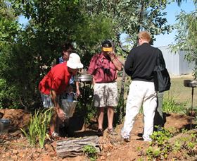 Mount Surprise Gems - Maitland Accommodation 2