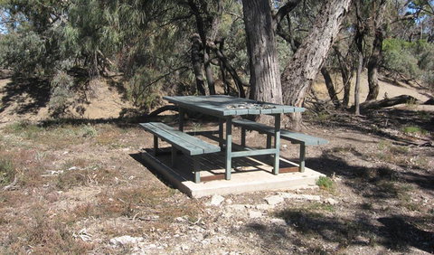 Mirri Mirru Yurun - Maitland Accommodation 1