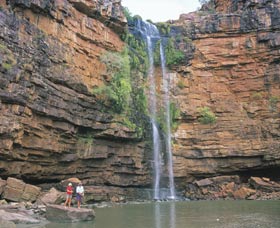 Prince Regent Nature Reserve - Maitland Accommodation 3