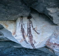 Gyorn Gyorn Bradshaw Paintings - Maitland Accommodation