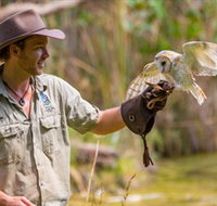 Territory Wildlife Park - Maitland Accommodation