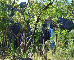 Manngarre Rainforest Walk - Maitland Accommodation 1