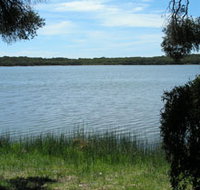 Lake Fellmongery Ski Lake - Maitland Accommodation