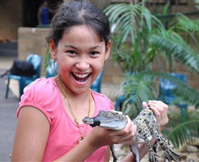 Crocodylus Park - Maitland Accommodation 1