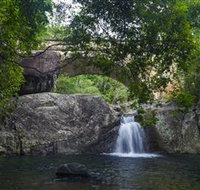 Paluma and Crystal Creek Rainforest - Maitland Accommodation