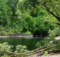 Broadwater Abergowrie State Forest - Maitland Accommodation